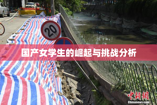 国产女学生的崛起与挑战分析