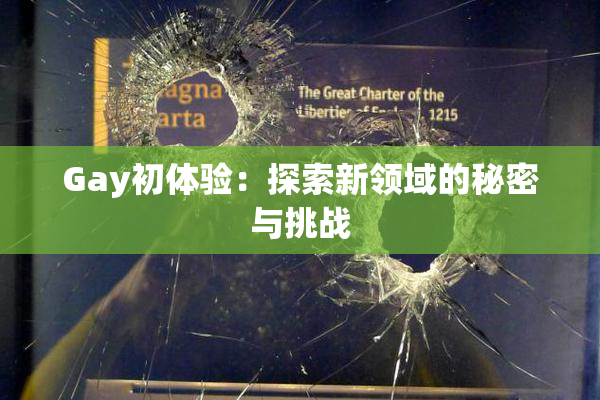Gay初体验：探索新领域的秘密与挑战