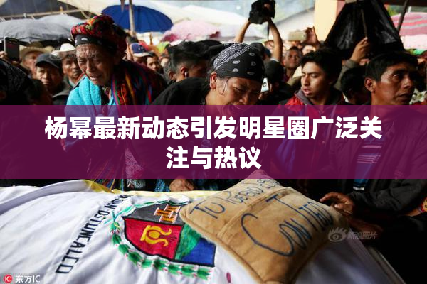 杨幂最新动态引发明星圈广泛关注与热议