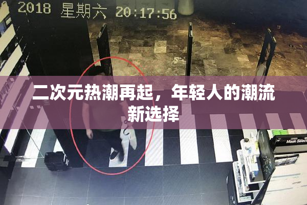 二次元热潮再起，年轻人的潮流新选择