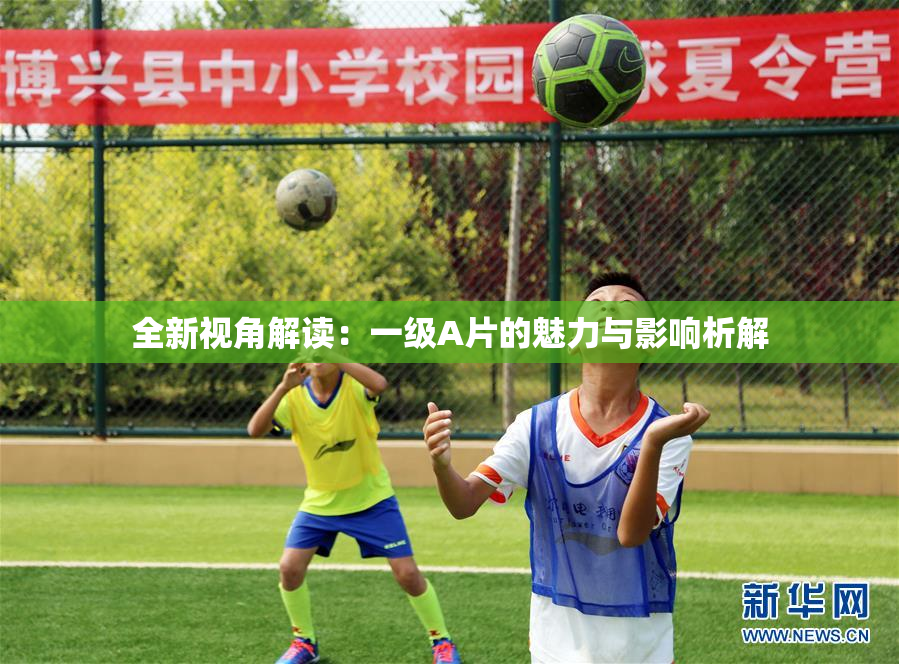 全新视角解读：一级A片的魅力与影响析解