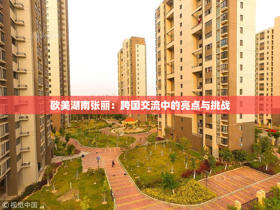 欧美湖南张丽：跨国交流中的亮点与挑战