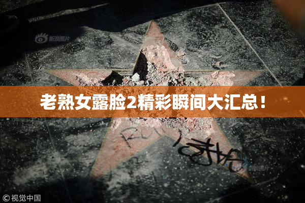老熟女露脸2精彩瞬间大汇总！
