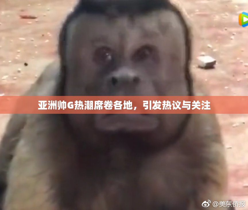 亚洲帅G热潮席卷各地，引发热议与关注