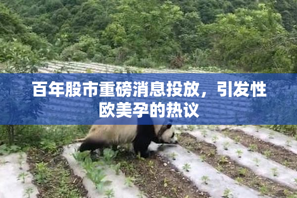 百年股市重磅消息投放，引发性欧美孕的热议