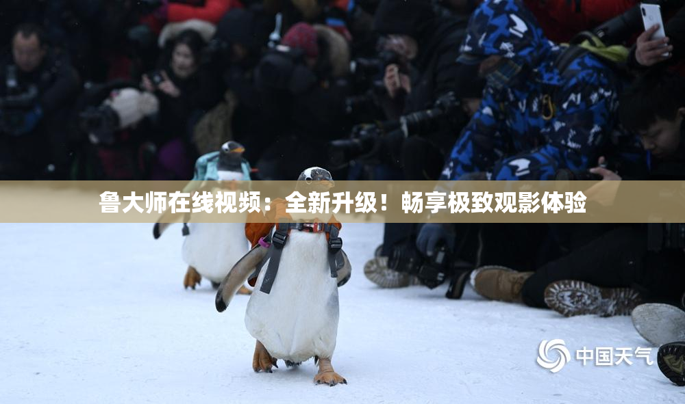 鲁大师在线视频：全新升级！畅享极致观影体验