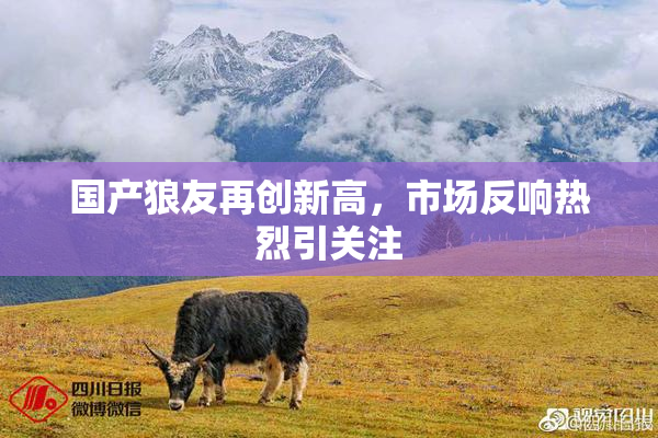 国产狼友再创新高，市场反响热烈引关注