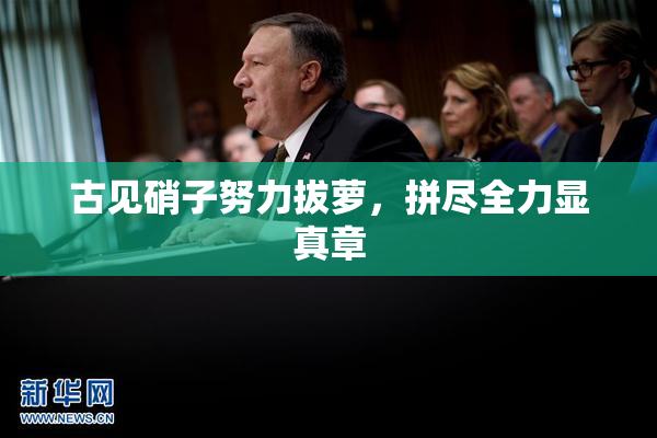 古见硝子努力拔萝，拼尽全力显真章