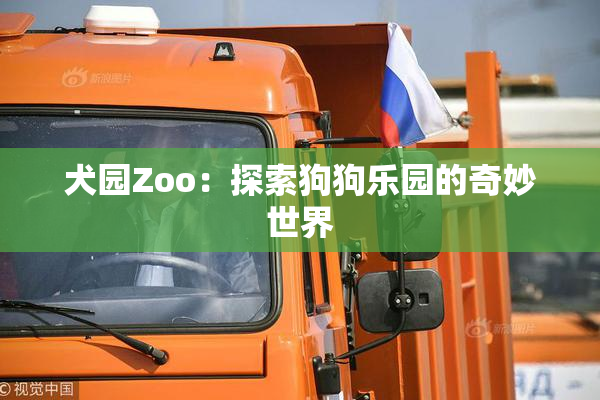 犬园Zoo：探索狗狗乐园的奇妙世界