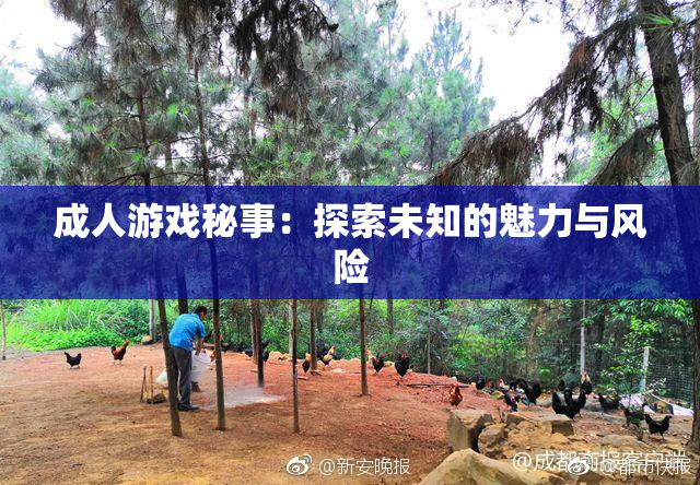 成人游戏秘事：探索未知的魅力与风险