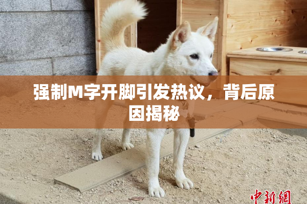 强制M字开脚引发热议，背后原因揭秘