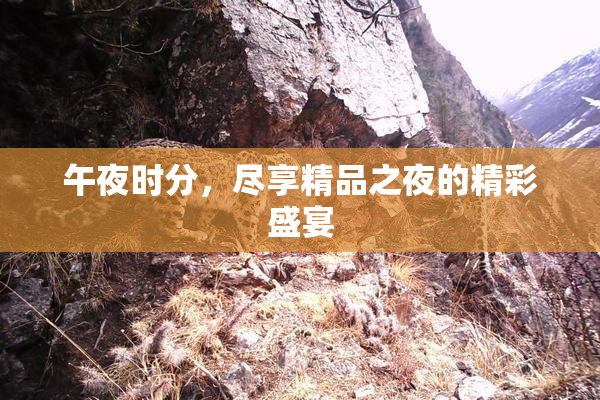 午夜时分，尽享精品之夜的精彩盛宴