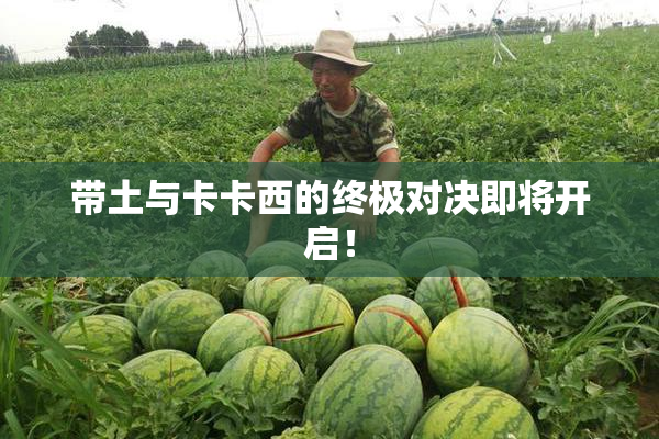 带土与卡卡西的终极对决即将开启！