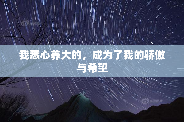 我悉心养大的，成为了我的骄傲与希望