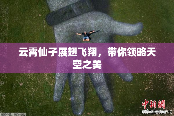 云霄仙子展翅飞翔，带你领略天空之美