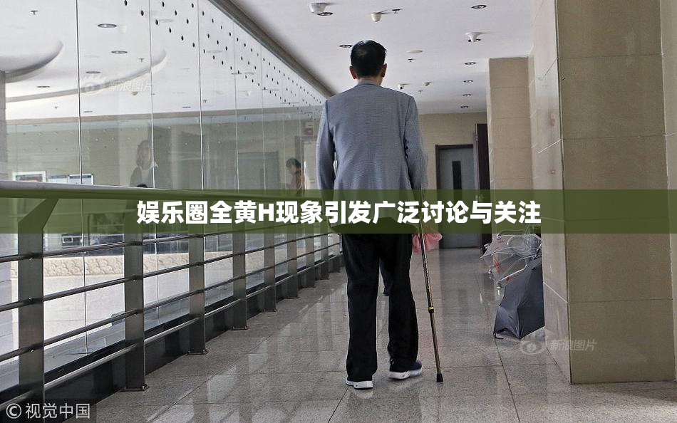 娱乐圈全黄H现象引发广泛讨论与关注