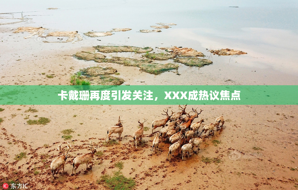 卡戴珊再度引发关注，XXX成热议焦点