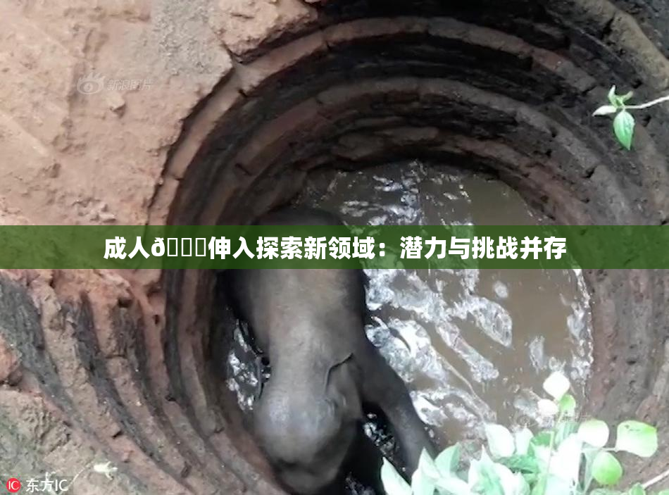 成人🍆伸入探索新领域：潜力与挑战并存