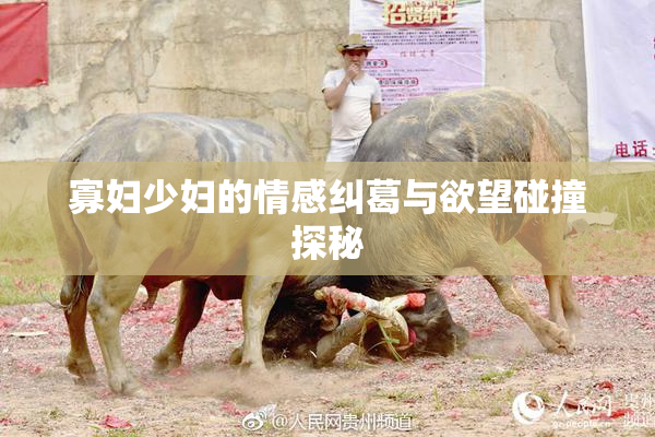 寡妇少妇的情感纠葛与欲望碰撞探秘