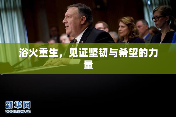 浴火重生，见证坚韧与希望的力量