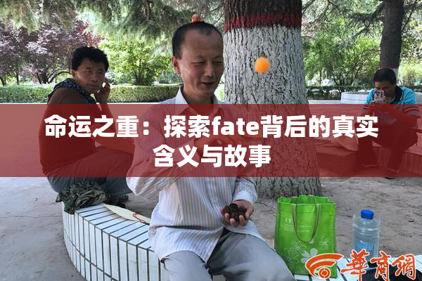 命运之重：探索fate背后的真实含义与故事