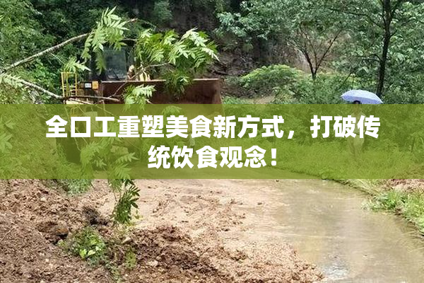 全口工重塑美食新方式，打破传统饮食观念！