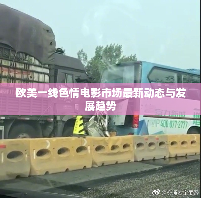 欧美一线色情电影市场最新动态与发展趋势