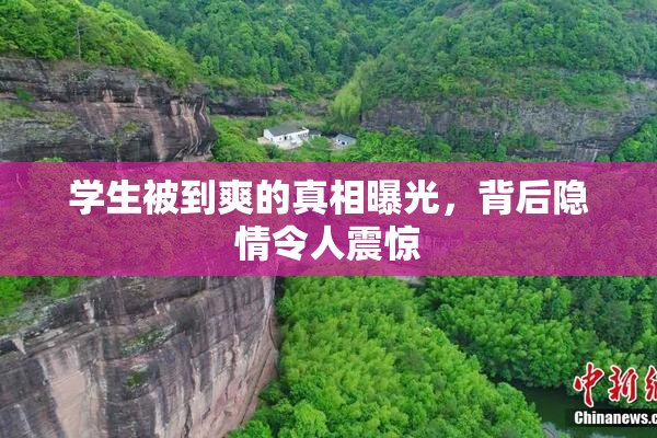 学生被到爽的真相曝光，背后隐情令人震惊