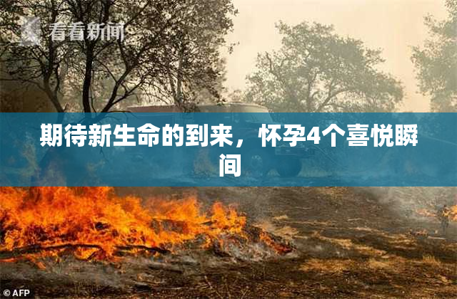 期待新生命的到来，怀孕4个喜悦瞬间