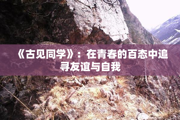 《古见同学》：在青春的百态中追寻友谊与自我