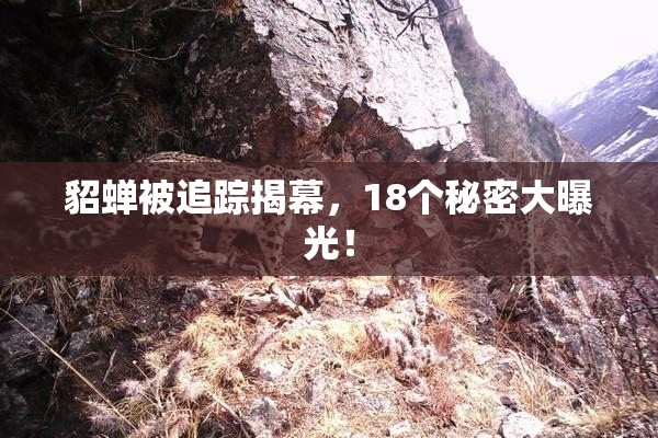 貂蝉被追踪揭幕，18个秘密大曝光！