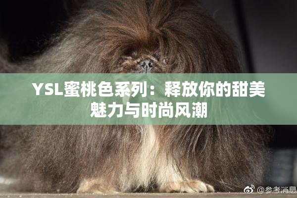 YSL蜜桃色系列：释放你的甜美魅力与时尚风潮