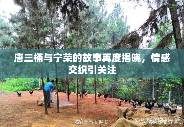 唐三桶与宁荣的故事再度揭晓，情感交织引关注