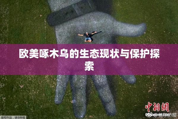 欧美啄木乌的生态现状与保护探索
