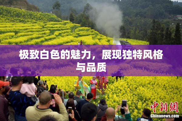 极致白色的魅力，展现独特风格与品质
