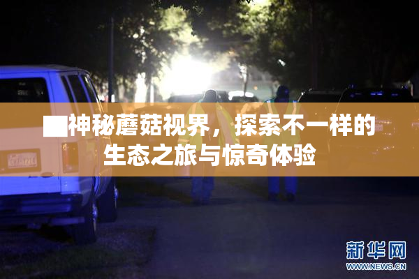▇神秘蘑菇视界，探索不一样的生态之旅与惊奇体验