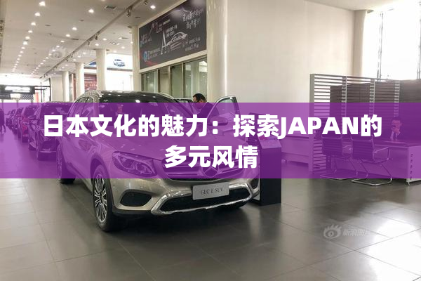 日本文化的魅力：探索JAPAN的多元风情