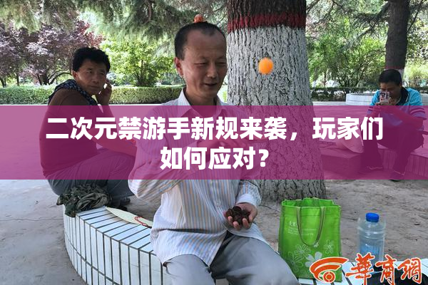 二次元禁游手新规来袭，玩家们如何应对？