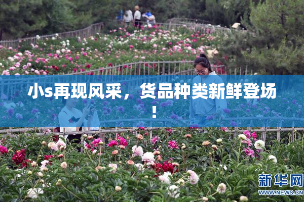 小s再现风采，货品种类新鲜登场！