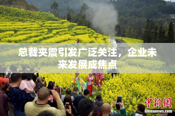 总裁夹震引发广泛关注，企业未来发展成焦点