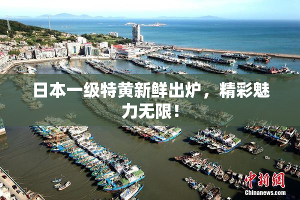 日本一级特黄新鲜出炉，精彩魅力无限！