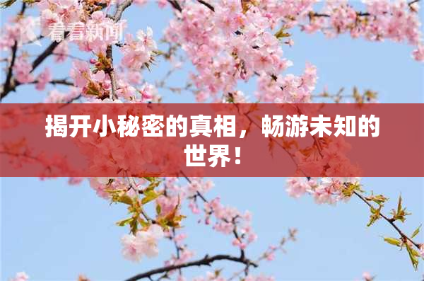 揭开小秘密的真相，畅游未知的世界！