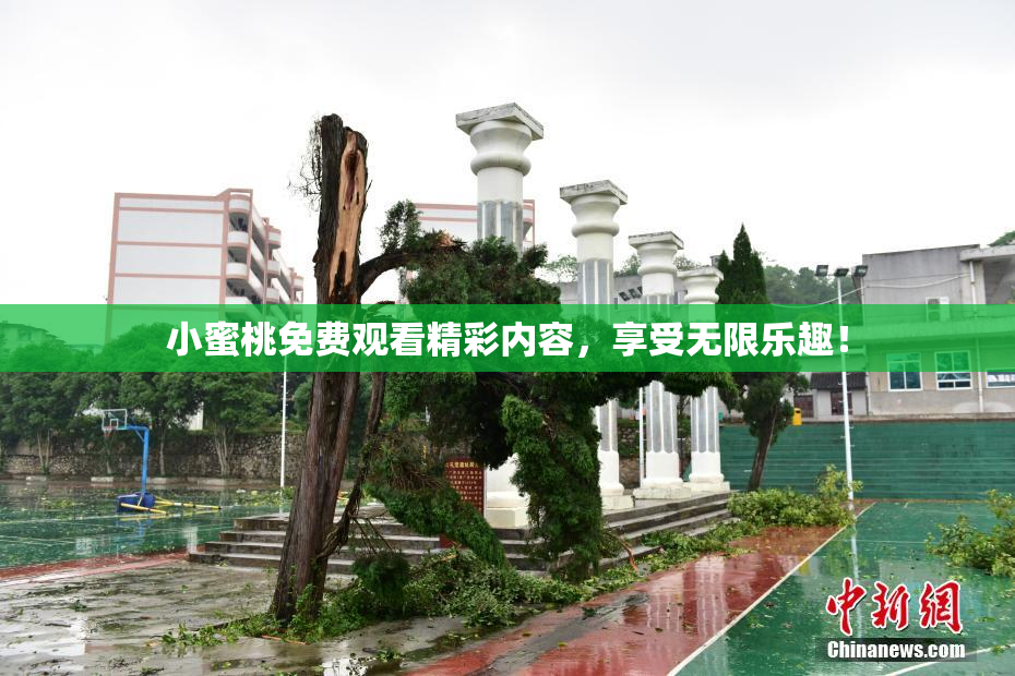 小蜜桃免费观看精彩内容，享受无限乐趣！