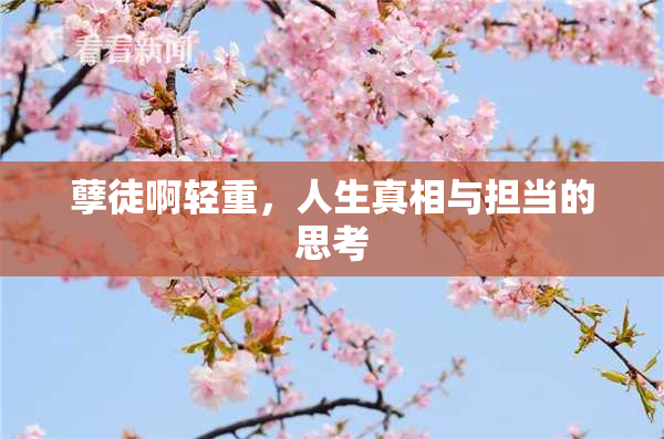 孽徒啊轻重，人生真相与担当的思考