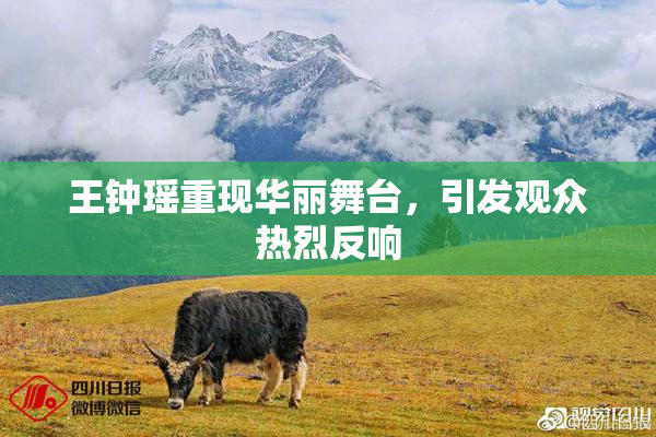 王钟瑶重现华丽舞台，引发观众热烈反响