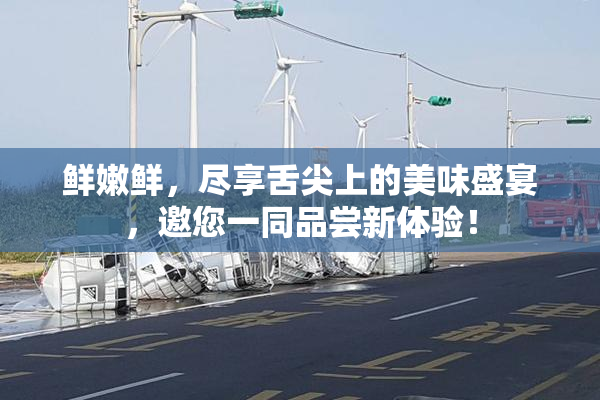 鲜嫩鲜，尽享舌尖上的美味盛宴，邀您一同品尝新体验！
