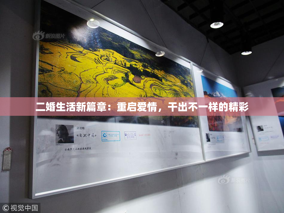 二婚生活新篇章：重启爱情，干出不一样的精彩