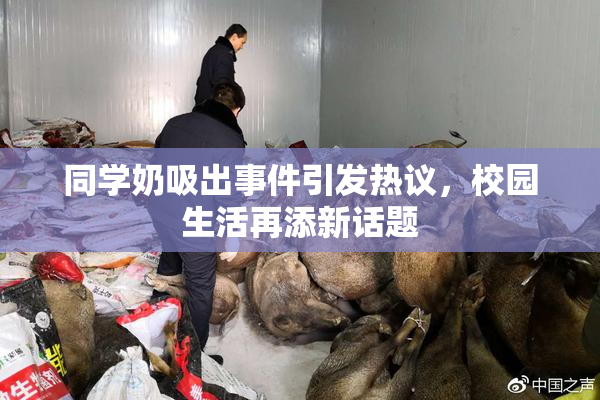 同学奶吸出事件引发热议，校园生活再添新话题