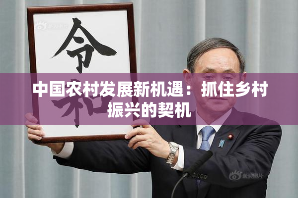 中国农村发展新机遇：抓住乡村振兴的契机