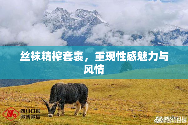 丝袜精榨套裹，重现性感魅力与风情